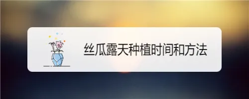 丝瓜露天种植时间和方法