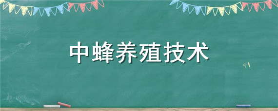 中蜂养殖技术-自制