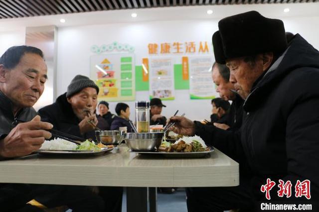 阜阳桑黄种植基地_阜阳桑黄种植技术_种植阜阳技术桑黄怎么样