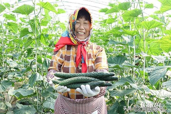 饺子赚钱_致富经饺子_饺子赚大钱