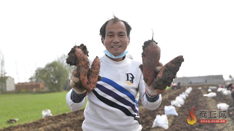 致富种植视频全集_致富薯种植方法视频_致富薯种植方法