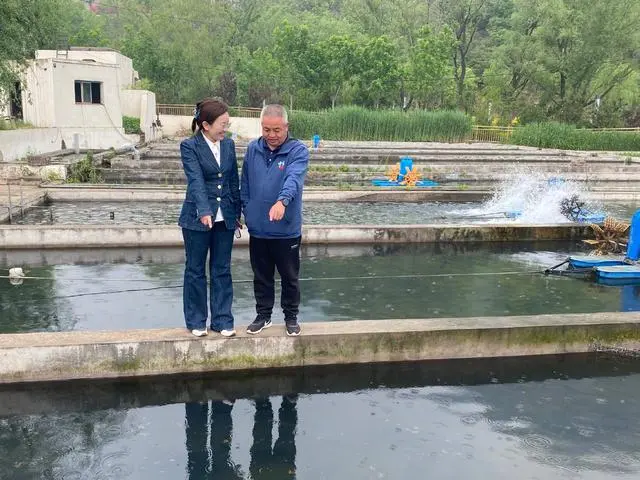 致富养殖鲟鱼视频_养殖鲟鱼前景如何_养殖致富鲟鱼