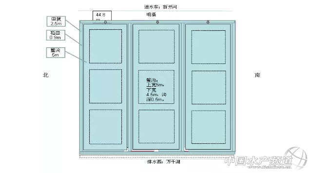 稻田养蟹——高效生态综合种养模式