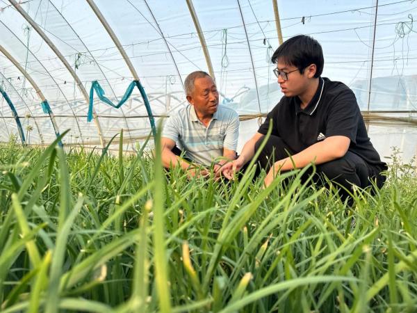 昆虫致富资源有哪些_资源昆虫致富经_昆虫资源利用