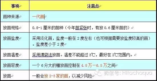 淡水养殖对虾技术视频_白对虾淡水养殖技术_淡水白对虾养殖技术视频