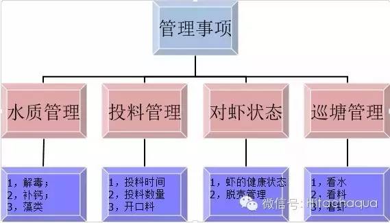 淡水白对虾养殖技术视频_淡水养殖对虾技术视频_白对虾淡水养殖技术