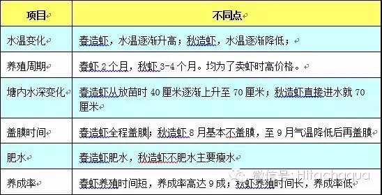 淡水养殖对虾技术视频_淡水白对虾养殖技术视频_白对虾淡水养殖技术