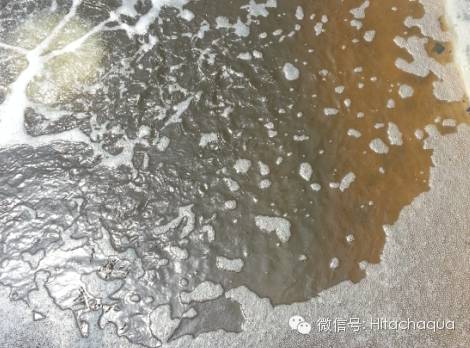 淡水养殖对虾技术视频_白对虾淡水养殖技术_淡水白对虾养殖技术视频