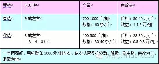 淡水白对虾养殖技术视频_淡水养殖对虾技术视频_白对虾淡水养殖技术