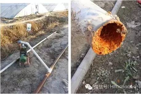 淡水养殖对虾技术视频_淡水白对虾养殖技术视频_白对虾淡水养殖技术