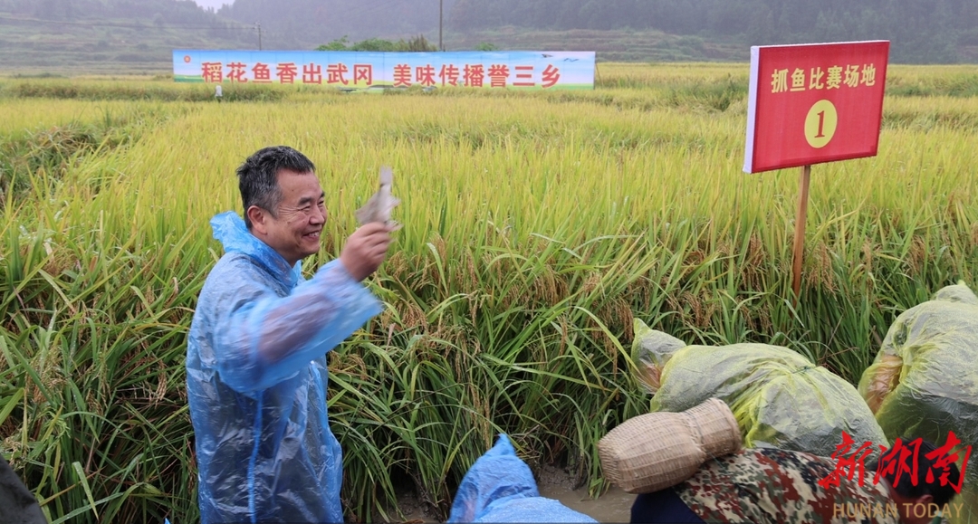 大口黑鲈成鱼养殖技术_大口黑鲈养殖周期_大口黑鲈在水库能自然繁殖吗