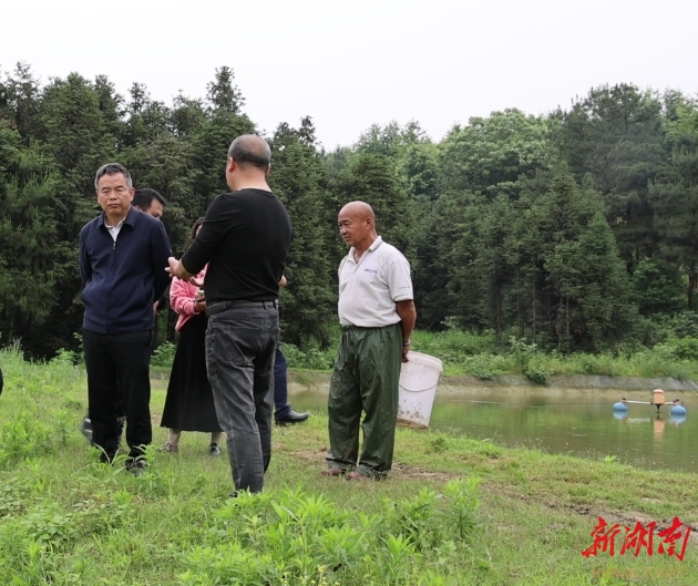 大口黑鲈成鱼养殖技术_大口黑鲈养殖周期_大口黑鲈在水库能自然繁殖吗