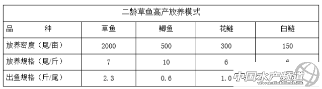 二龄草鱼高产放养模式，这样做可出鱼超5000斤/亩？