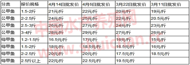 珠蚌养殖_养殖珠鱼技术鳗鱼视频_鳗珠鱼养殖技术