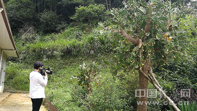 致富科技汇编大全_科技种植致富之路_高科技致富