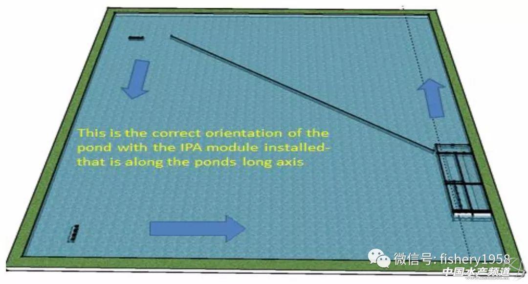 一文揭开池塘循环流水养殖系统“神秘面纱”