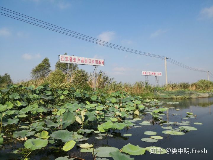 养殖大闸蟹的流程_养殖大闸蟹技术培训_大闸蟹的养殖技术