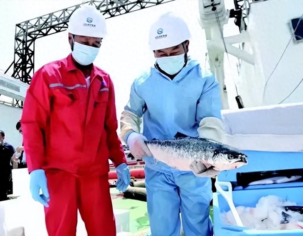 伏季休渔期，市民餐桌“鲜味”供应不减