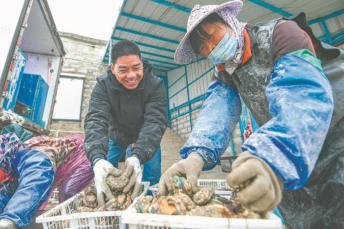 水产养殖致富经_水产养殖致富项目_水产养殖致富方案