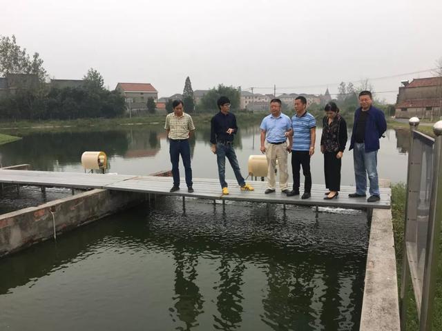 水产养殖致富项目_水产养殖致富方案_致富养殖水产方案怎么写