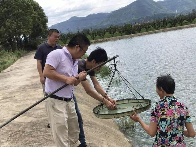 致富养殖水产方案怎么写_水产养殖致富方案_水产养殖致富项目