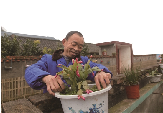 涂云贵养花记：脱贫致富后 生活如鲜花盛开