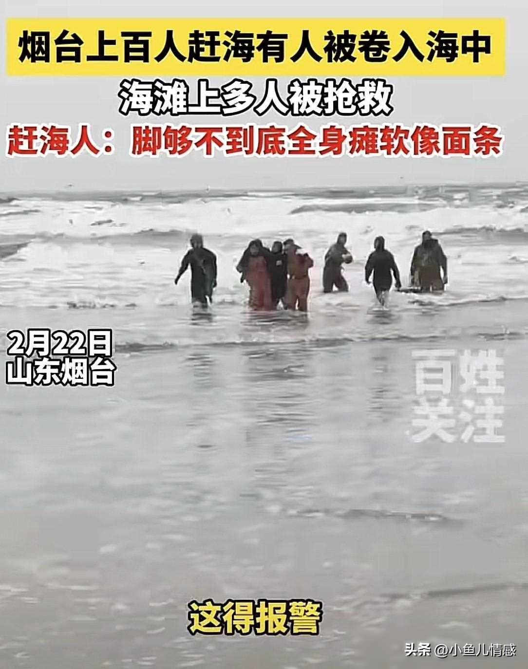 致富养殖海肠鱼_海肠养殖前景怎么样_海肠养殖致富