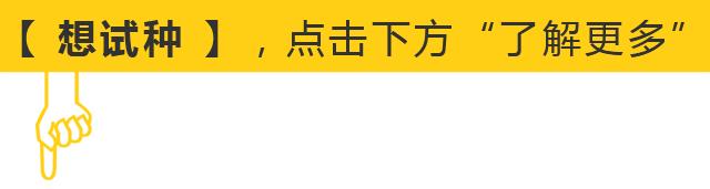 甜香瓜栽培技术_甜香瓜怎么种植_香瓜甜瓜的种植技术