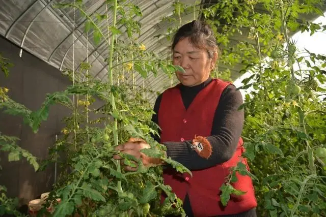 神木养殖致富项目_致富养殖好项目_致富养殖业