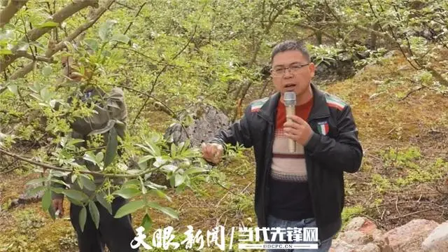 致富经花椒视频_花椒视频怎么赚钱_视频致富花椒怎么做