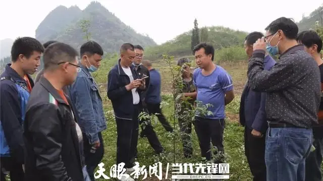 视频致富花椒怎么做_花椒视频怎么赚钱_致富经花椒视频