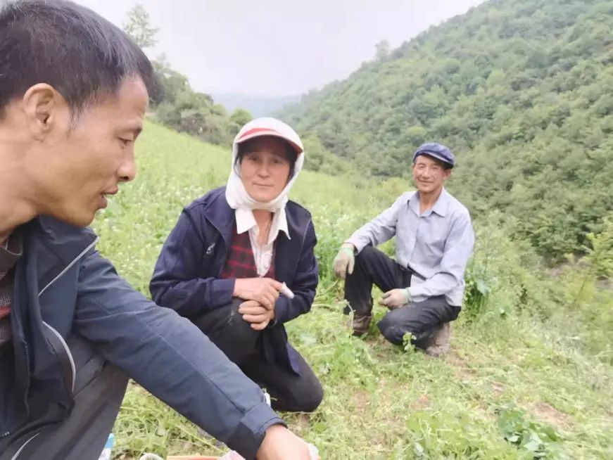 致富经花椒_视频致富花椒怎么下载_致富经花椒视频