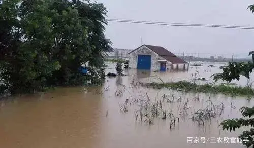 致富养殖村民带来的影响_致富养殖村民带来的收益_带村民养殖致富