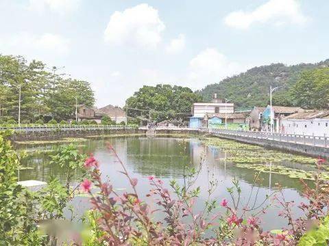 乡村振兴 | 普宁市广太镇因地制宜打造特色精品村，浓墨书写美丽乡村建设新篇章