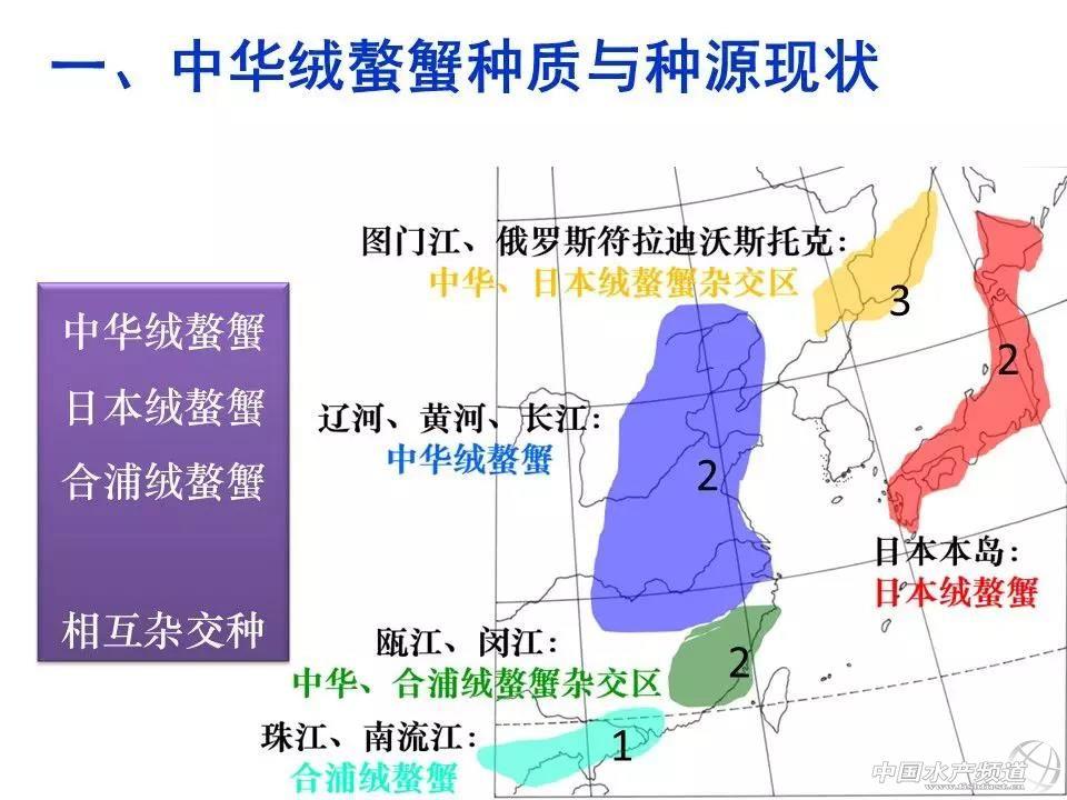 斑螯_红螯螯虾工厂化养殖_斑螯养殖技术