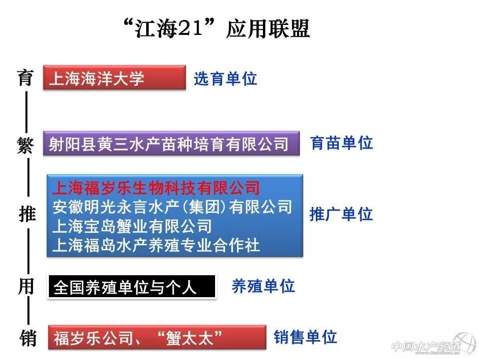 斑螯养殖技术_红螯螯虾工厂化养殖_斑螯