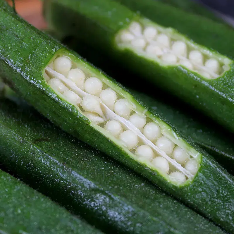 山东黄秋葵种植技术_黄秋葵种植技术视频_秋葵在山东叫什么