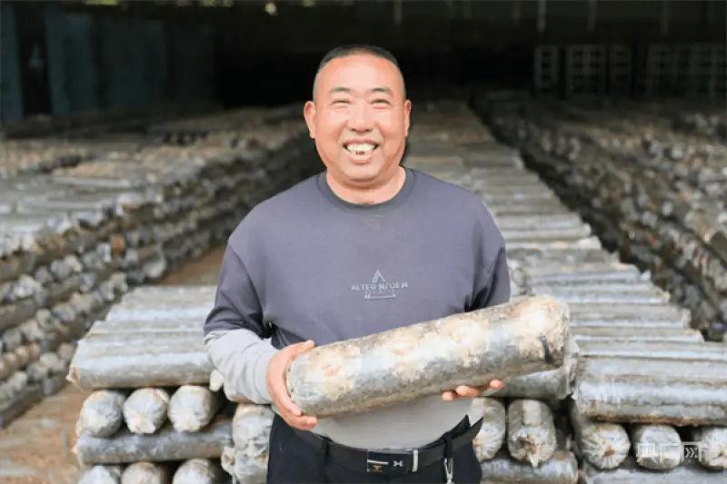 鹊山鸡养殖致富_鹊山鸡家养_养鹊山鸡技术