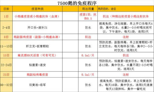 鹅养殖技术视频教程_鹅网上养殖技术_专业养鹅技术