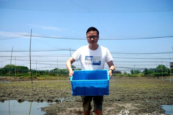 泥鳅莲藕的生产模式的好处_cctv7 致富经泥鳅莲藕套样泥鳅_莲藕泥鳅农业模式生态优势