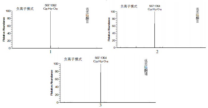 山西远志种植视频_远志种植技术视频_远志种植效益