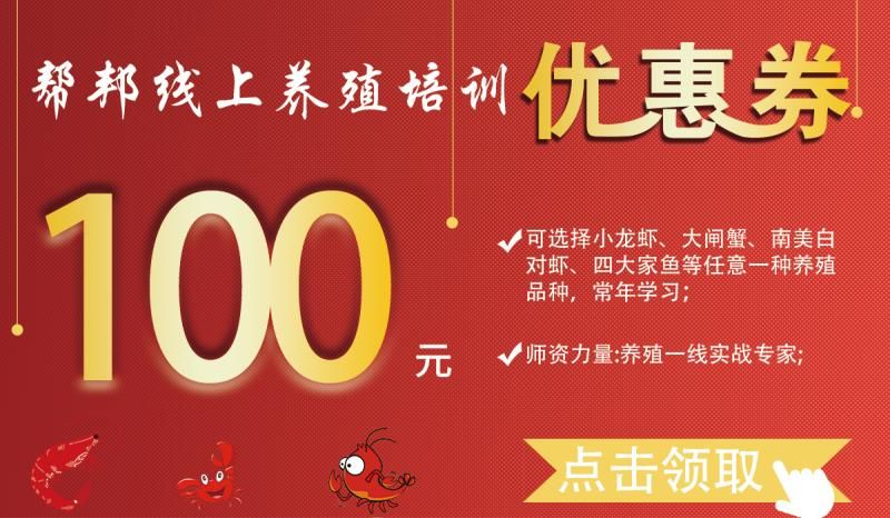 螃蟹养殖技术与管理2020_螃蟹养殖培训基地_螃蟹养殖技术培训