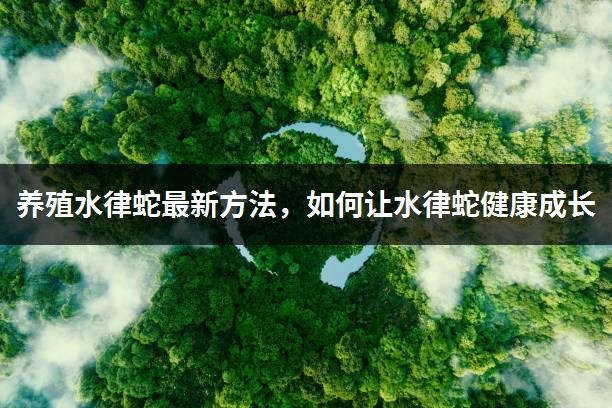 养殖水律蛇最新方法，如何让水律蛇健康成长