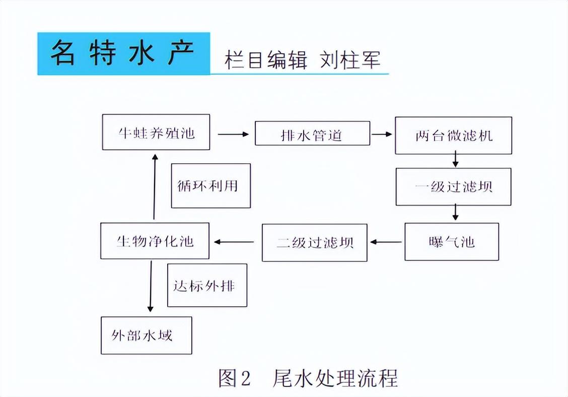 牛蛙养殖技术大全_养殖大全牛蛙技术要求_养殖牛蛙的养殖方法