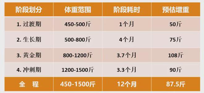 肉羊养殖技术指导方案_养殖方案指导肉羊技术怎么写_养殖方案指导肉羊技术有哪些