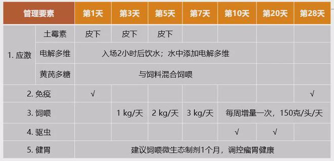 养殖方案指导肉羊技术怎么写_养殖方案指导肉羊技术有哪些_肉羊养殖技术指导方案