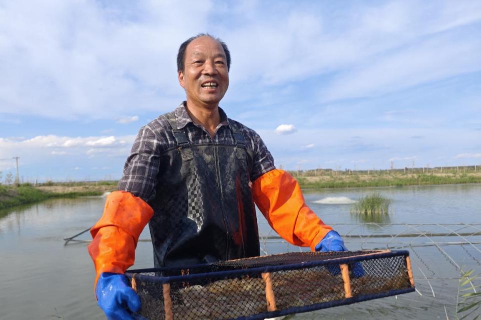 海鲜养殖技术视频_大棚养殖海鲜技术_海鲜养殖大棚技术规程