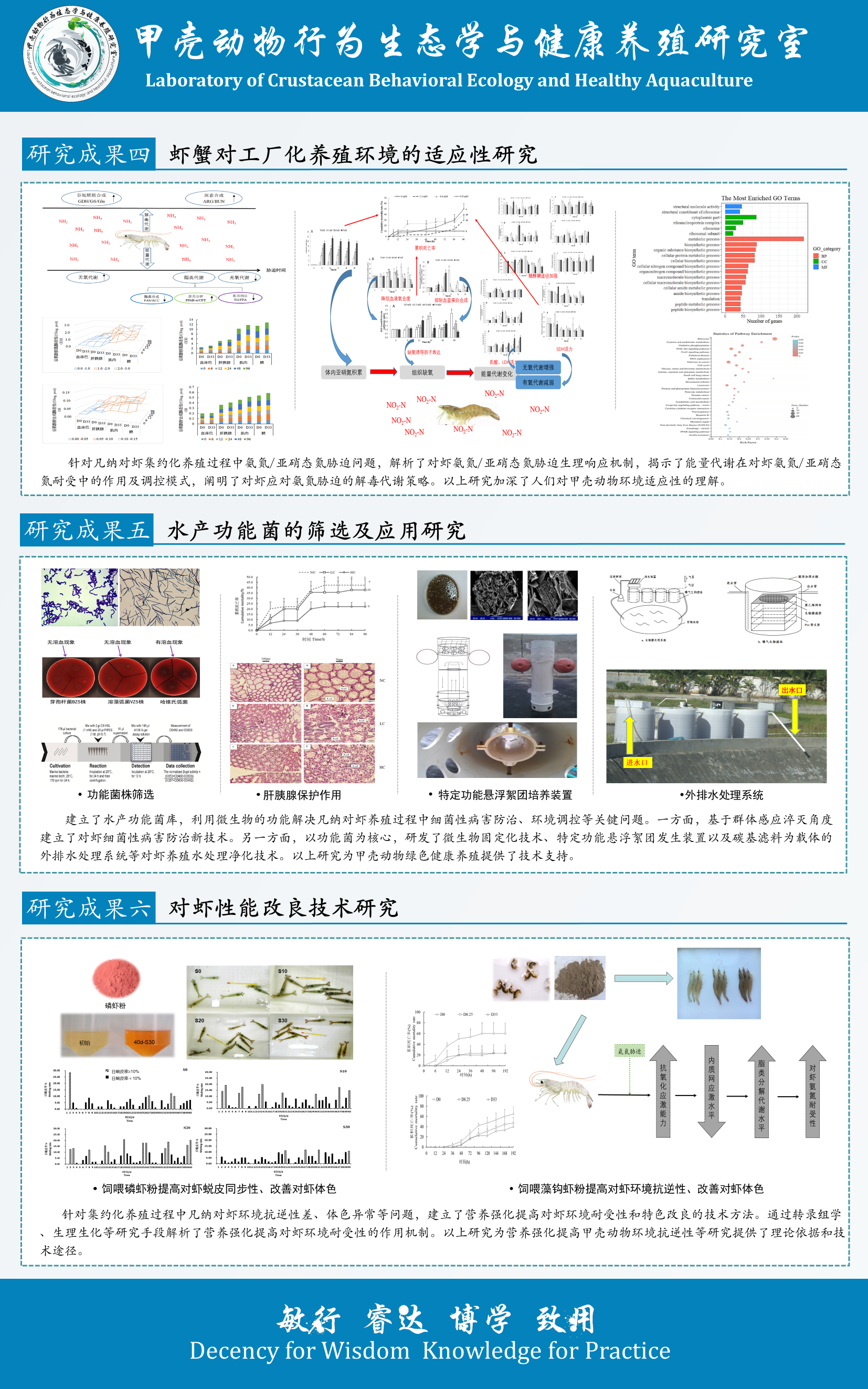 对虾生态养殖技术_养殖生态对虾技术要求高吗_养殖对虾技术视频