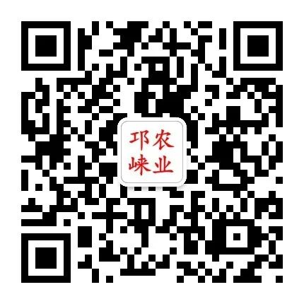 养殖方案指导肉羊技术有哪些_肉羊健康高效养殖_肉羊养殖技术指导方案