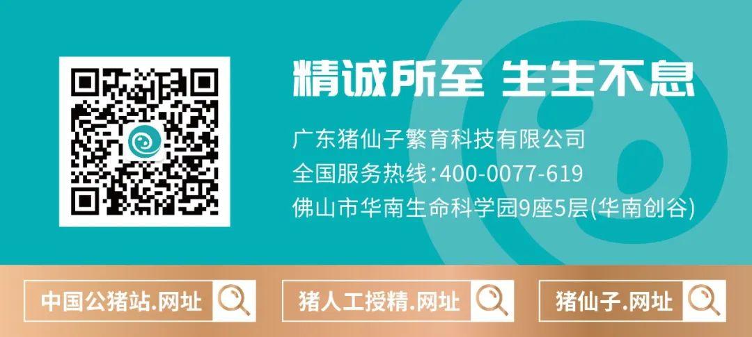 杜洛克猪母猪养殖技术_杜洛克母猪多少钱一只_母猪杜洛克品种怎么样